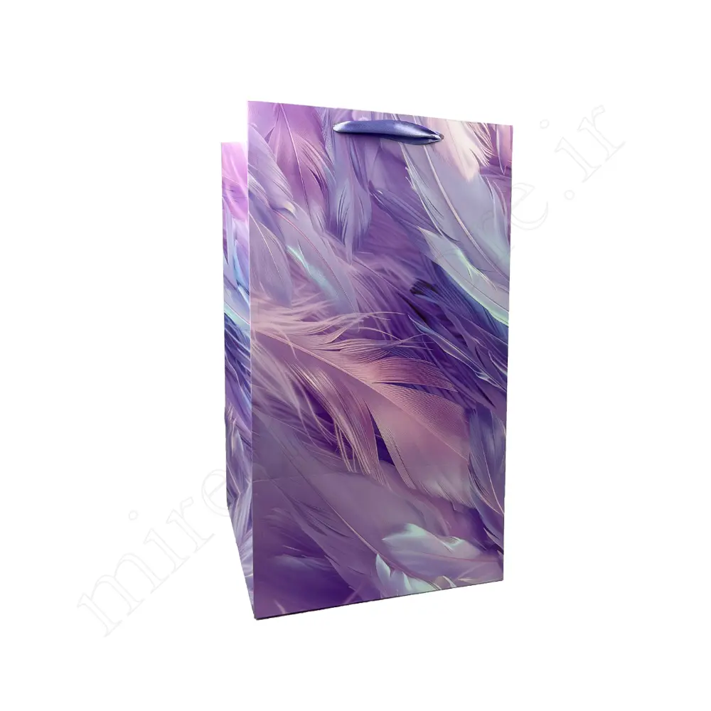بگ هدیه فانتزی GIFT BAG NO:150101