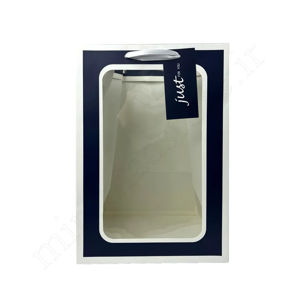 بگ هدیه مینیمال GIFT BAG NO:GP906