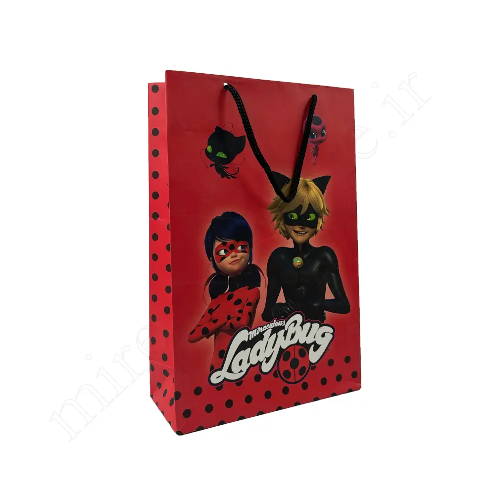 بگ هدیه فانتزی GIFT BAG
