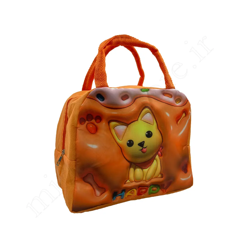 کیف ظرف غذا فانتزی BAG lunch