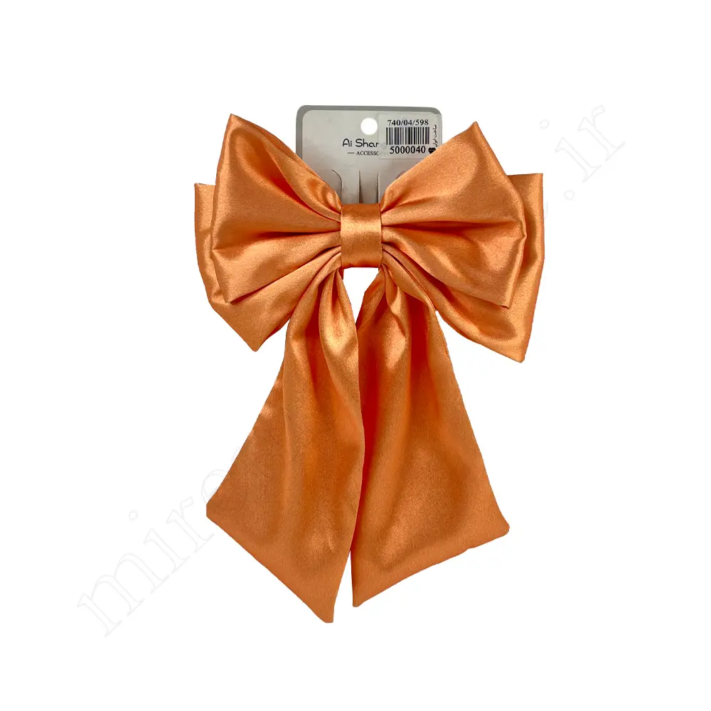 گیره مو پاپیونی Hair Clip