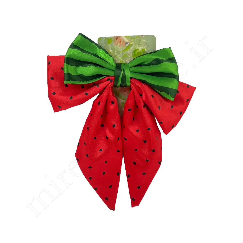 گیره مو پاپیونی Hair Clip