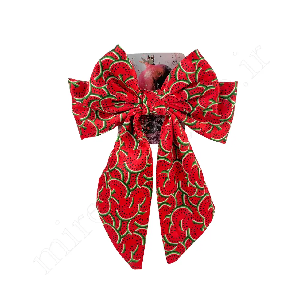 گیره مو پاپیونی Hair Clip