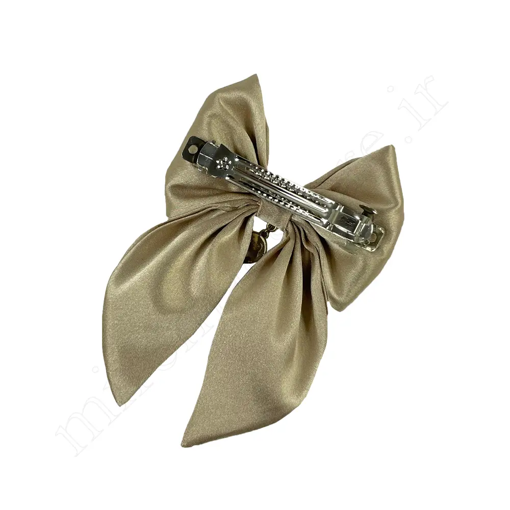گیره مو پاپیونی Hair Clip