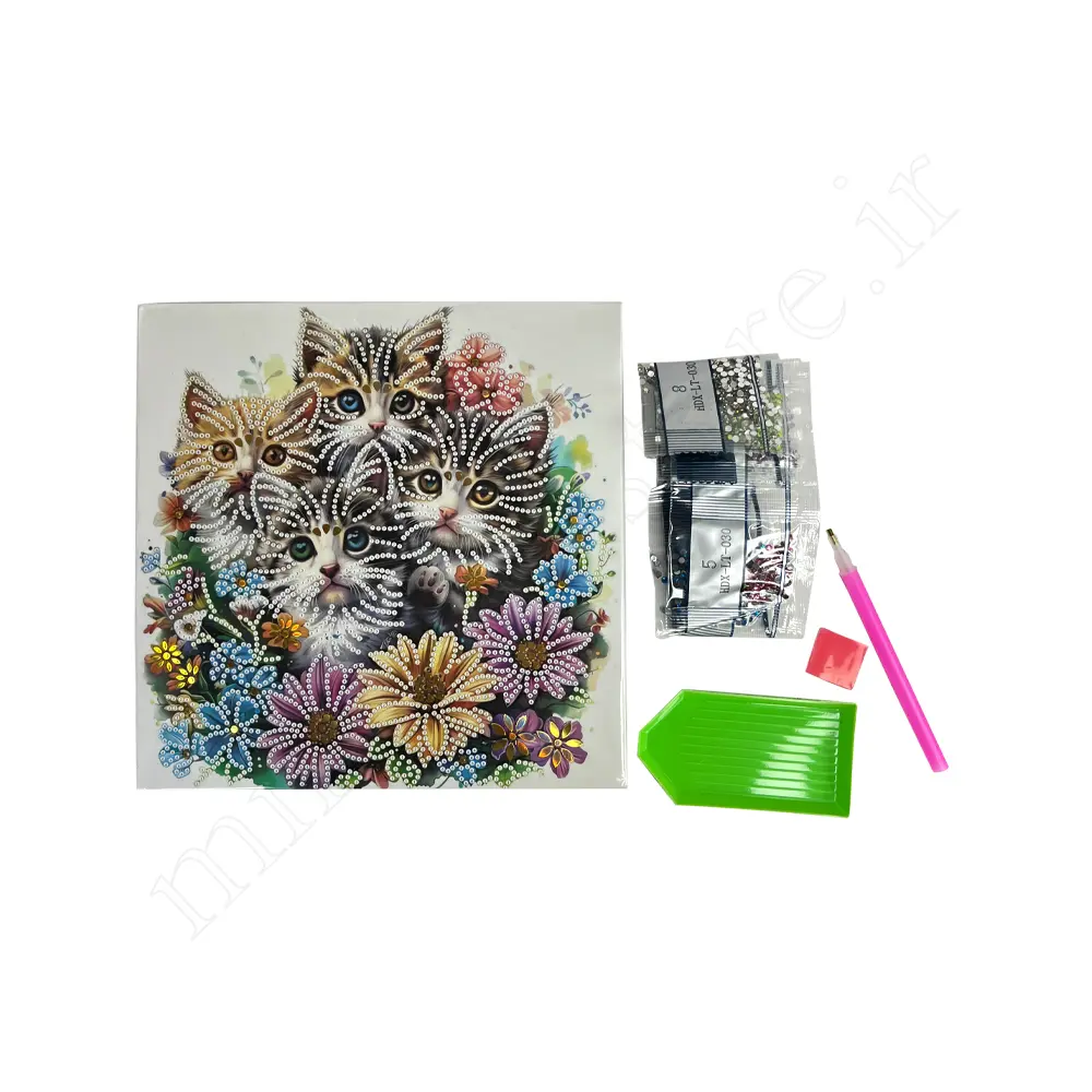 نقاشی الماسی Diamond painting HDX-1078