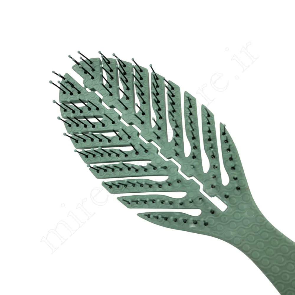 برس مو پاراکسی paraxi