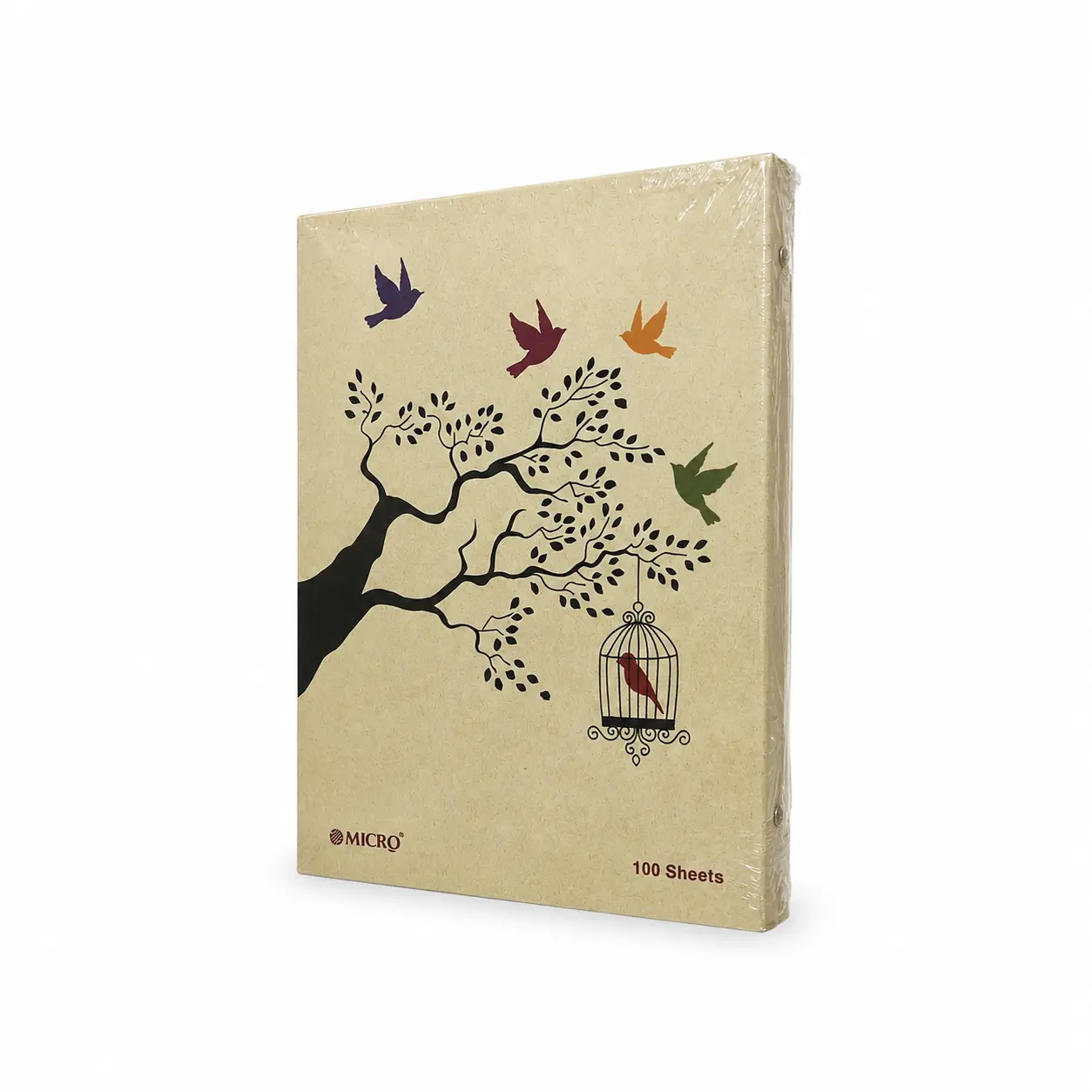کلاسور 100 برگ میکرو MICRO