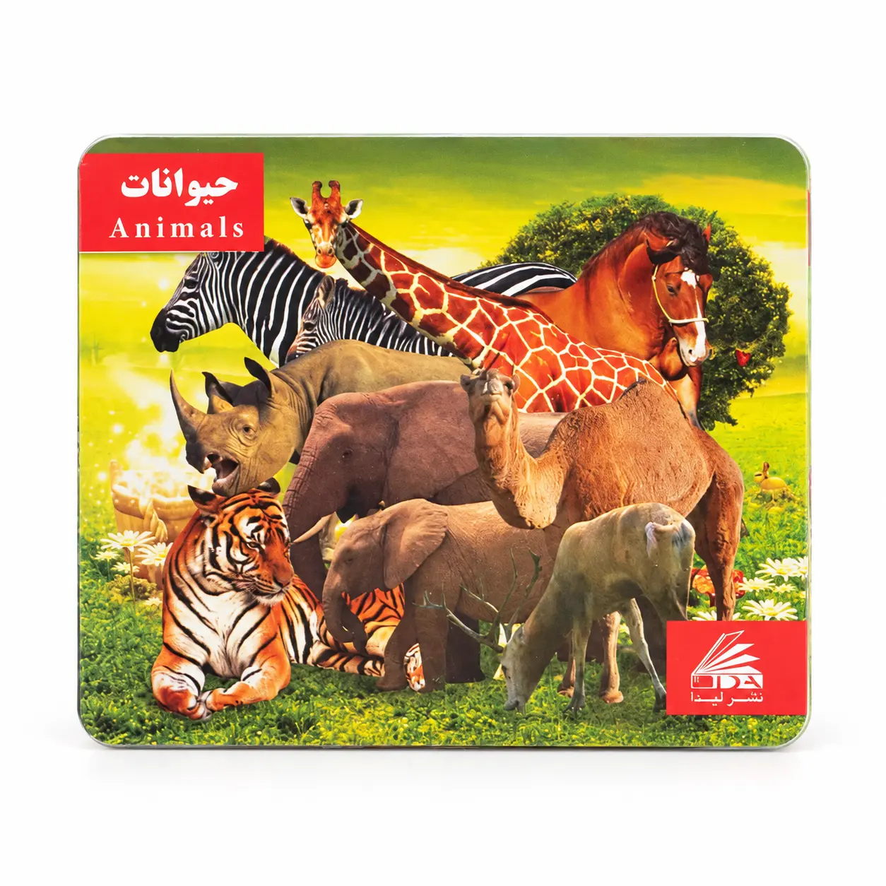 فلش کارت حیوانات لیدا جور lida